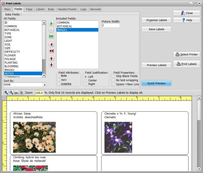 Garden Plant Cataloging Software for Windows PCs report designer
